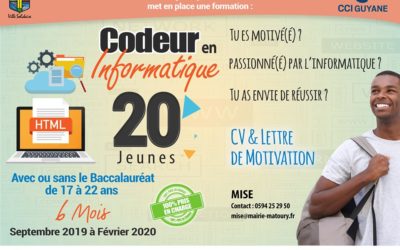 Formation insertion professionnelle